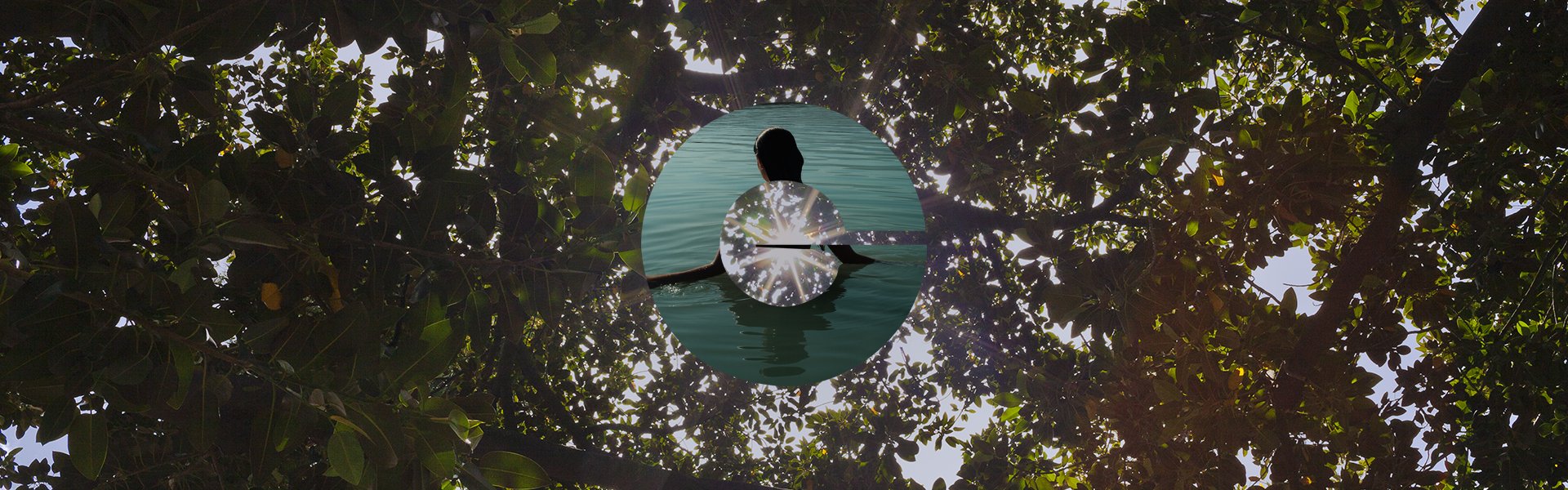 Sunlight under trees