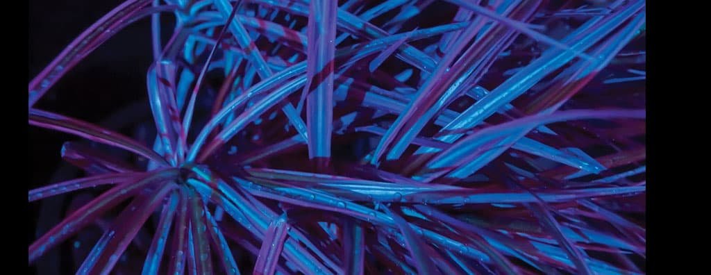 image small thumbnail