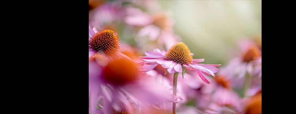 image small thumbnail