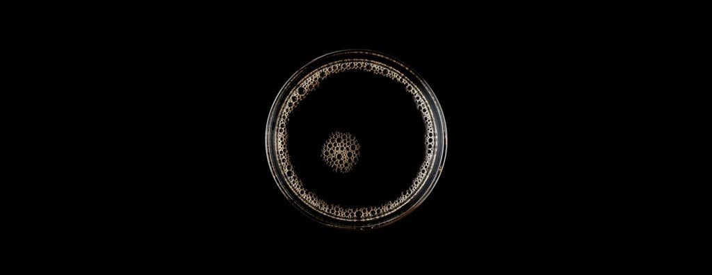 TasteEssentials® Coffee