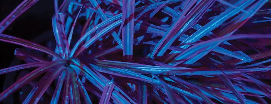 最先端のイノベーション