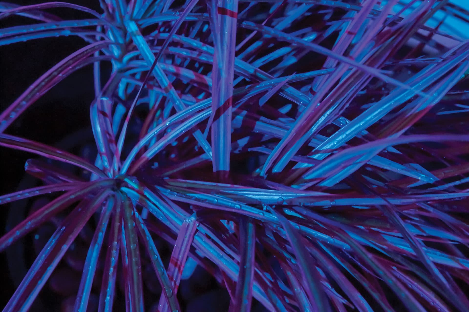 Givaudan Landing Page