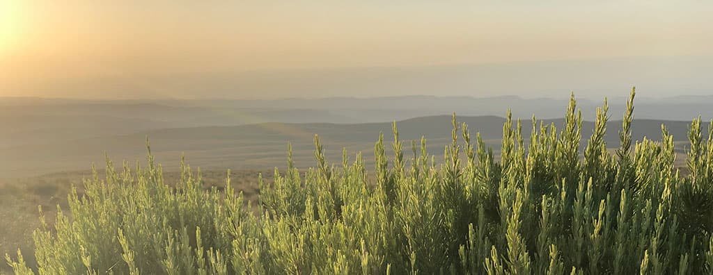 当社のパートナーシップと取り組み