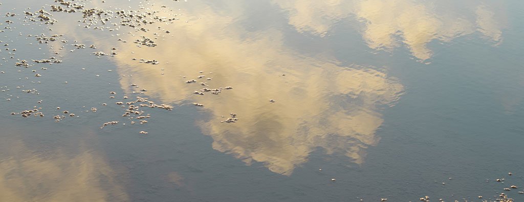 Discover global differences and similarities around scents