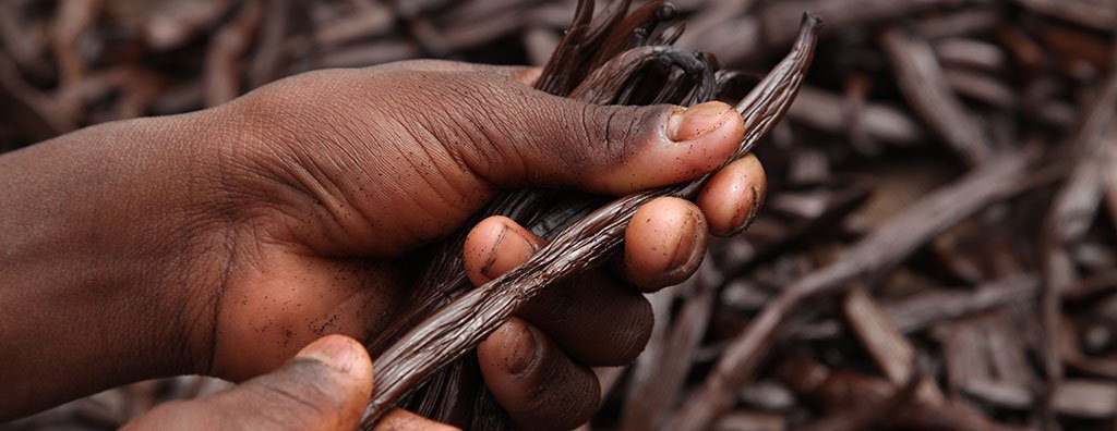 バニラ農家への貢献