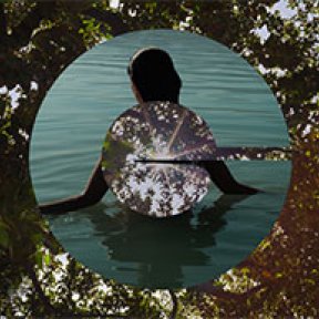 Sunlight under trees