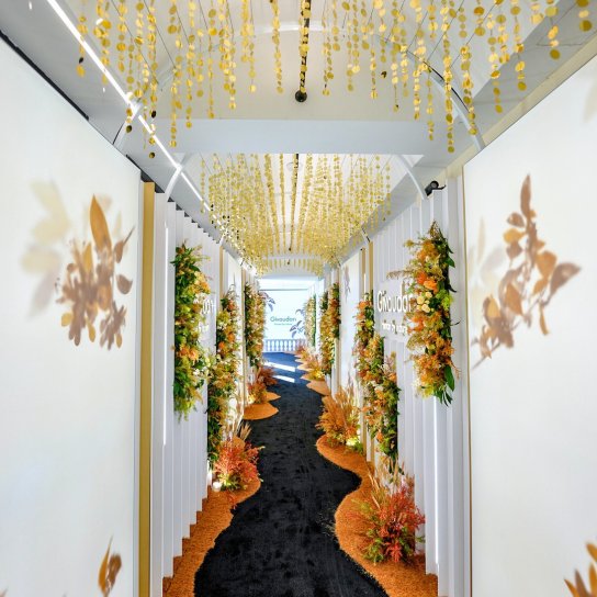 instagram post Take a first and exclusiv